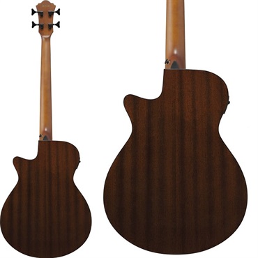 Ibanez 【入荷待ち、ご予約受付中】 AEGB24FE-MHS [SPOT MODEL