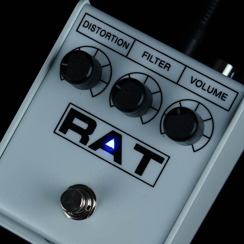 Pro-co イケベオリジナル RAT II White 【限定品】 ｜イケベ楽器店