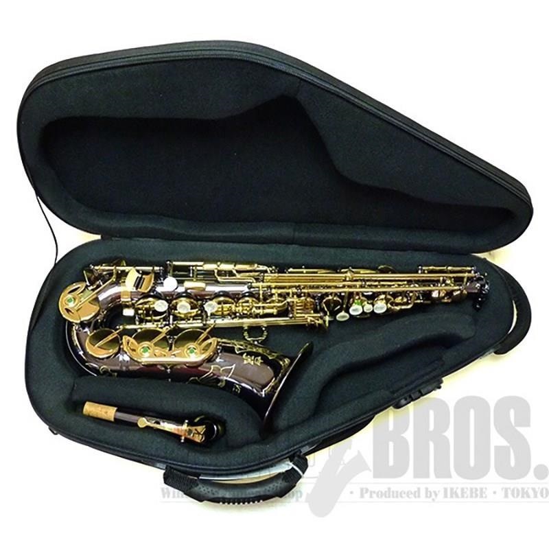 BAGS アルトサックス用ファイバーケース バッグス EFAS M-NVY