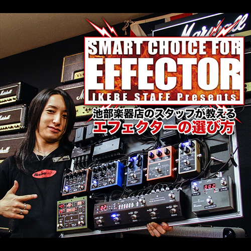F-Pedals DAMN 10 ｜イケベ楽器店オンラインストア