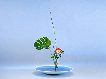 生花（しょうか） | いけばなの根源 華道家元池坊