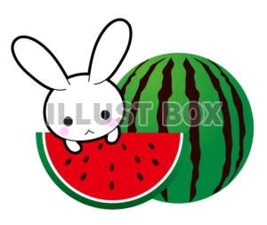スイカとうさぎちゃん：イラスト無料