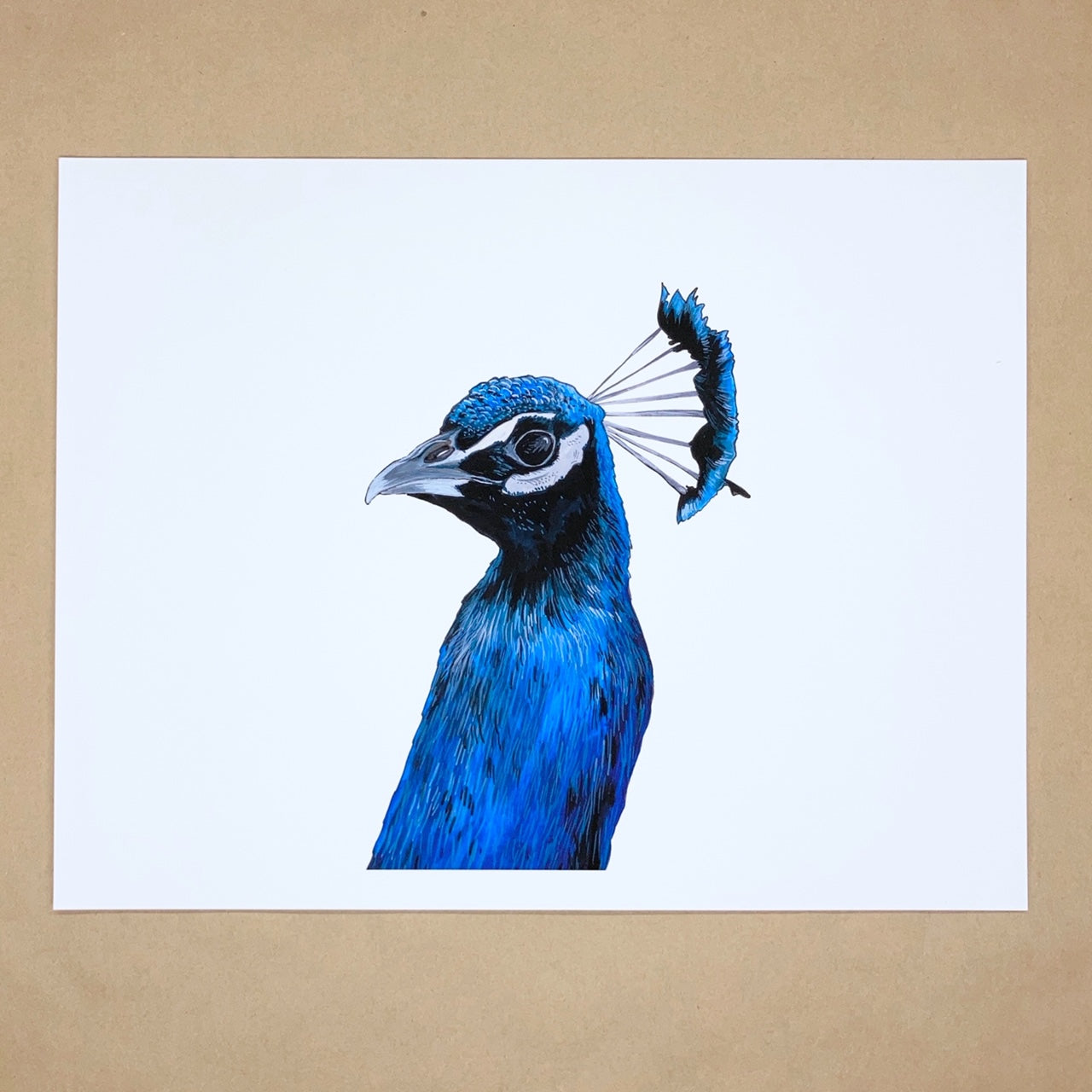 Peacock Head Print – Irene Akio
