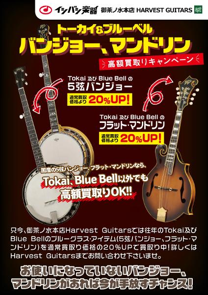 求む！ジャパン・ヴィンテージ・バンジョー＆マンドリン！ | イシバシ
