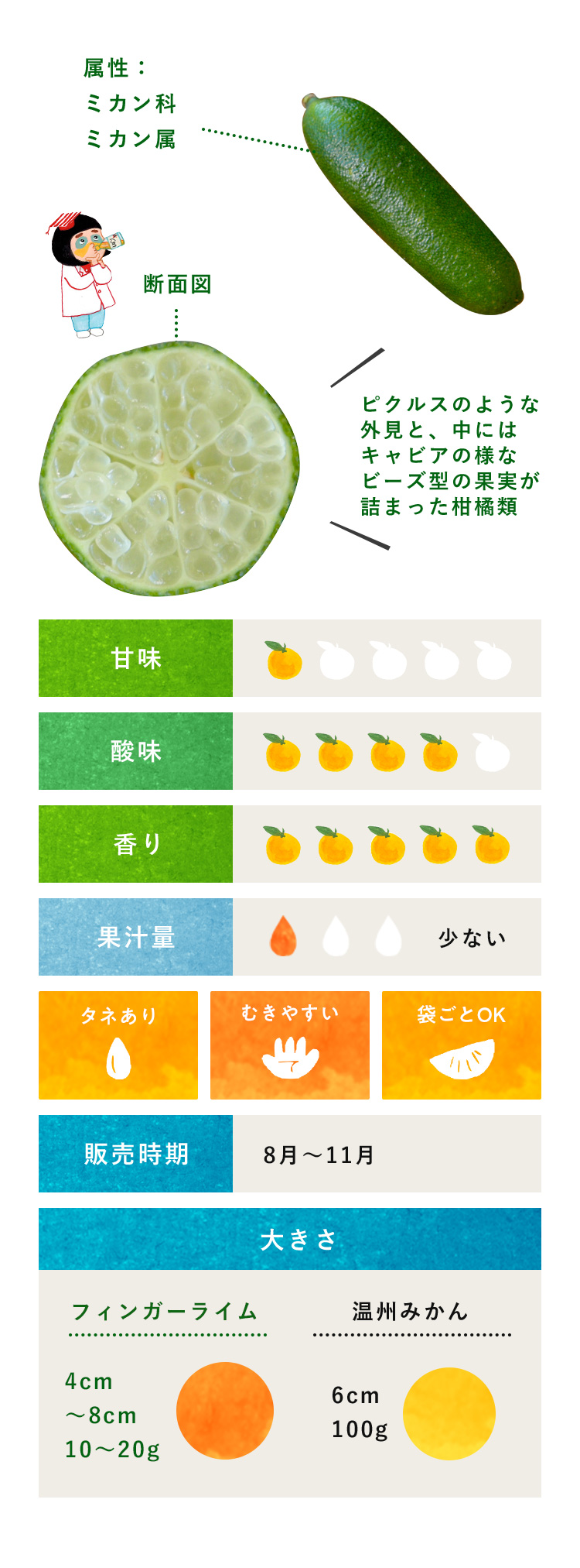 フィンガーライム - 伊藤農園のみかんな図鑑