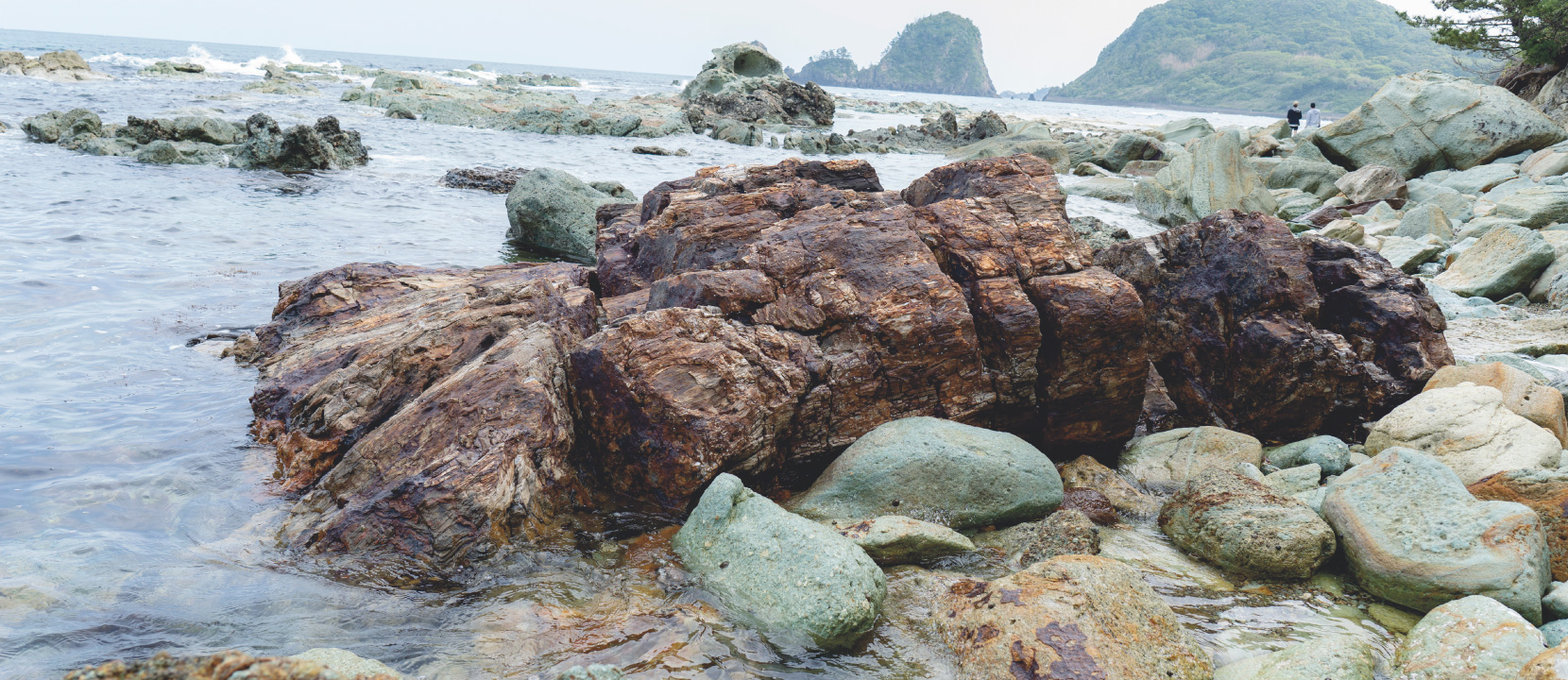 仁万の硅化木 | 島根県大田市 日本遺産「石見の火山が伝える悠久の歴史」