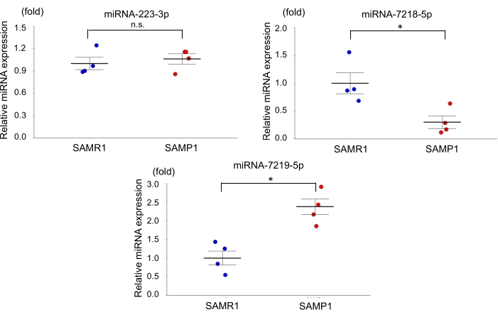 Quantitative Real-Time Polymerase Chain Reaction Evaluation of