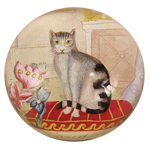 CDP-cat_500x.png?v=1612730128