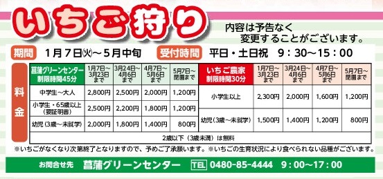 令和7年いちご狩り情報 | JA南彩