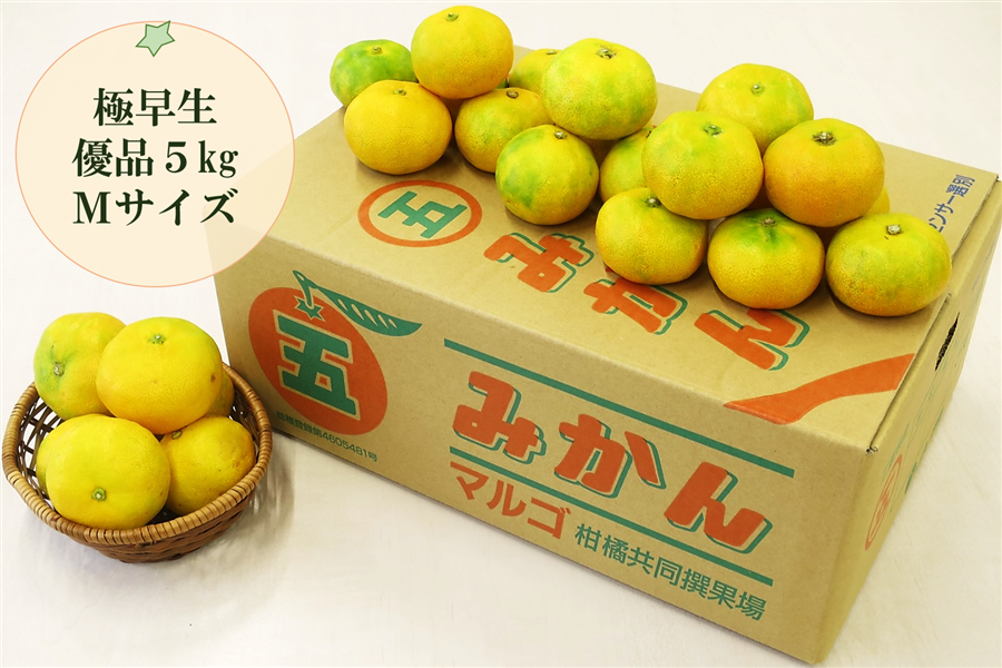 マルゴみかん（極早生） 優品 約5kg Mサイズ JA伊勢【配送日指定不可