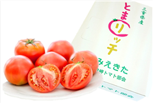 三重県産トマト フルーツトマトとまリッチ約4kg (25～45玉) JAみえきた