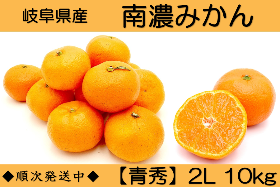岐阜県産「南濃みかん」青秀 10kg（2Lサイズ）: 飛騨・美濃