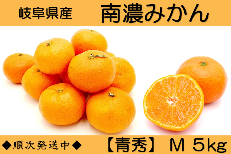 岐阜県産「南濃みかん」青秀 5kg（Mサイズ）: 飛騨・美濃