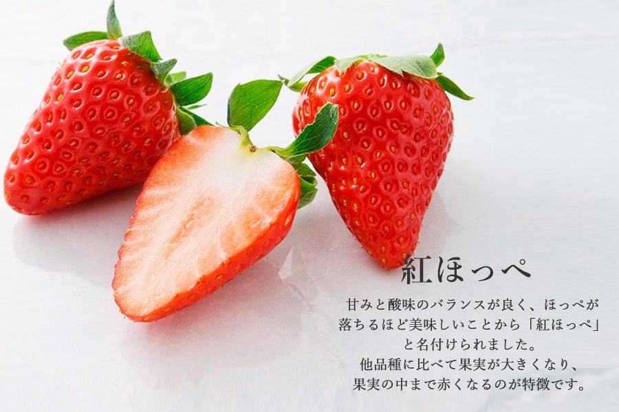 静岡いちご 紅ほっぺデラックス 2パック: JAしみずアンテナショップ
