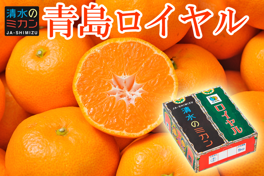 年明け発送】青島ロイヤル 5㎏ 箱: JAしみずアンテナショップきらり