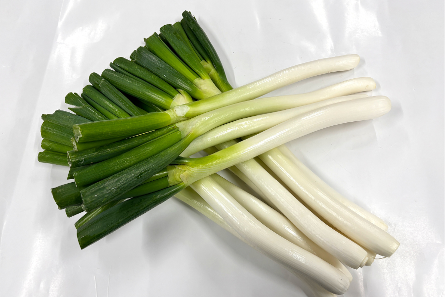 島根県産 白ねぎ（規格外） 10kg: しまね・うまいもんくらぶ|【JA