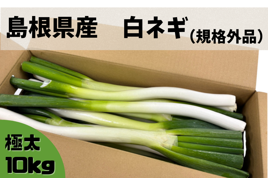 島根県産 白ねぎ（規格外） 10kg: しまね・うまいもんくらぶ|【JA