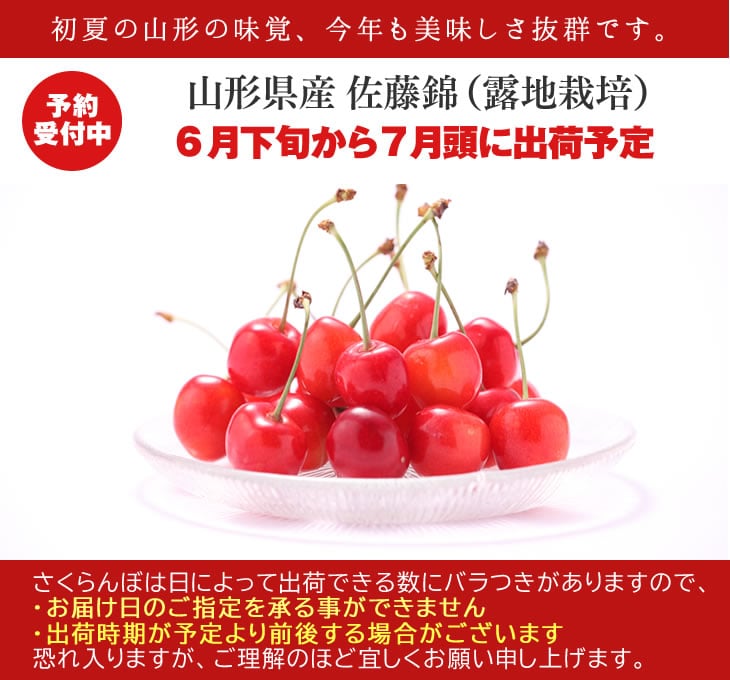 秀品さくらんぼ佐藤錦L玉500×2【クール便】: JAてんどうフーズ