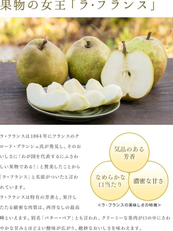 スーパーラ・フランス約5kg 山形県天童産 ※11月中旬～12月中旬の発送