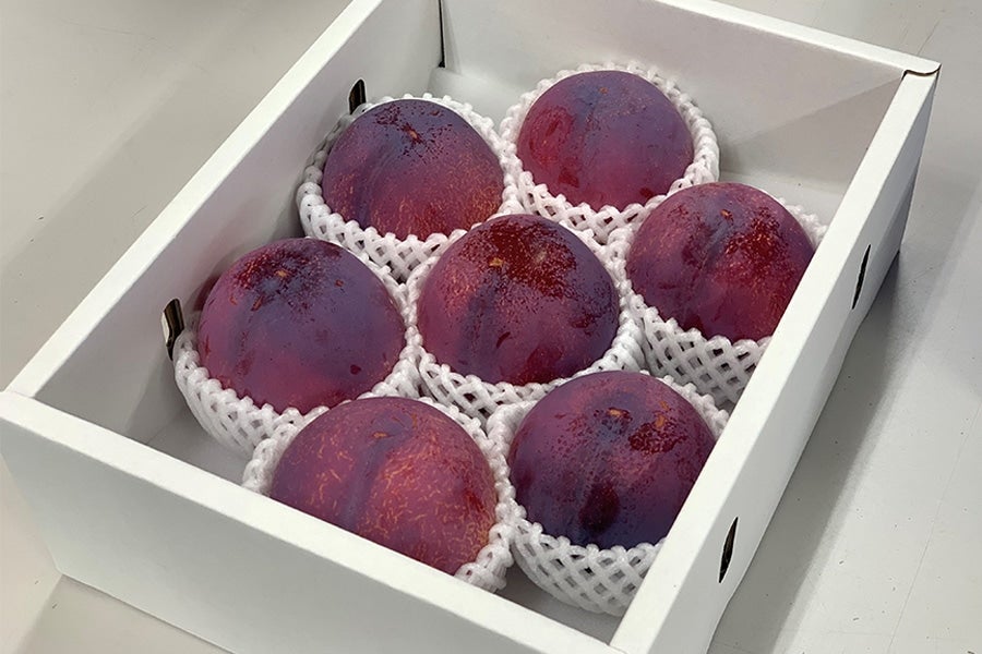 JAふえふき】 すもも（貴陽） 約1.5㎏ 7月中旬にお届け予定: フルーツ