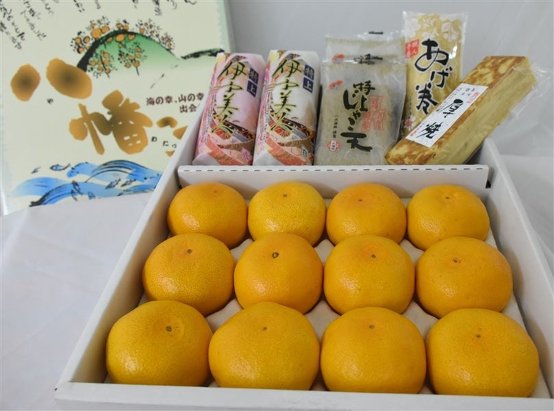 JAにしうわ厳選お正月セット】特選みかん＆練製品セット ＊クール