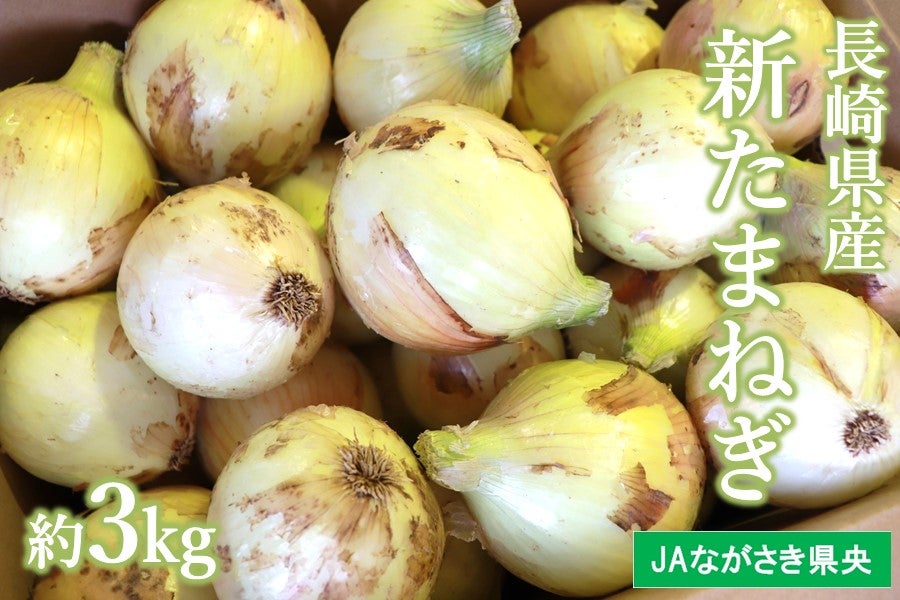 予約販売】A 長崎県産 新たまねぎ 約3kg ※4/6より順次出荷予定 JA