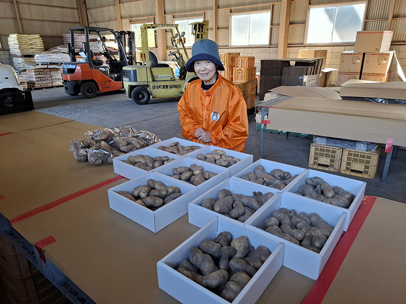 防府とくぢ】GI登録の名産「徳地やまのいも」出荷開始 | JA山口県