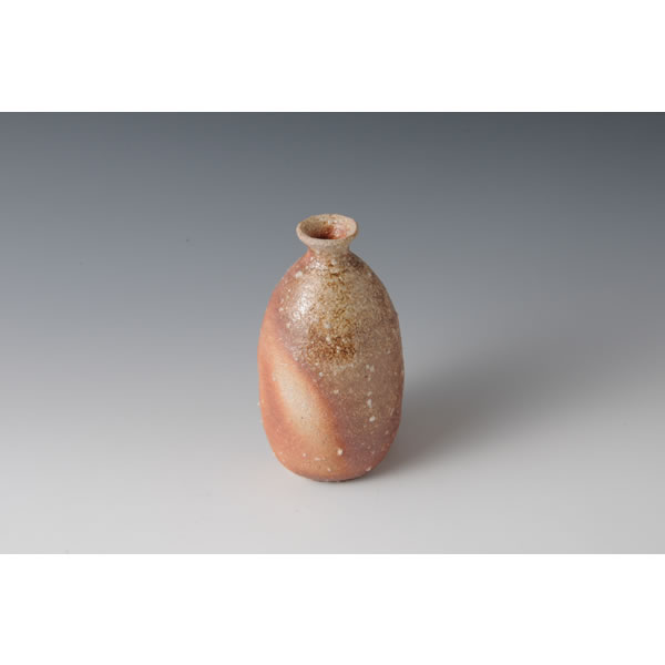 Japan Pottery Net / 信楽徳利 C