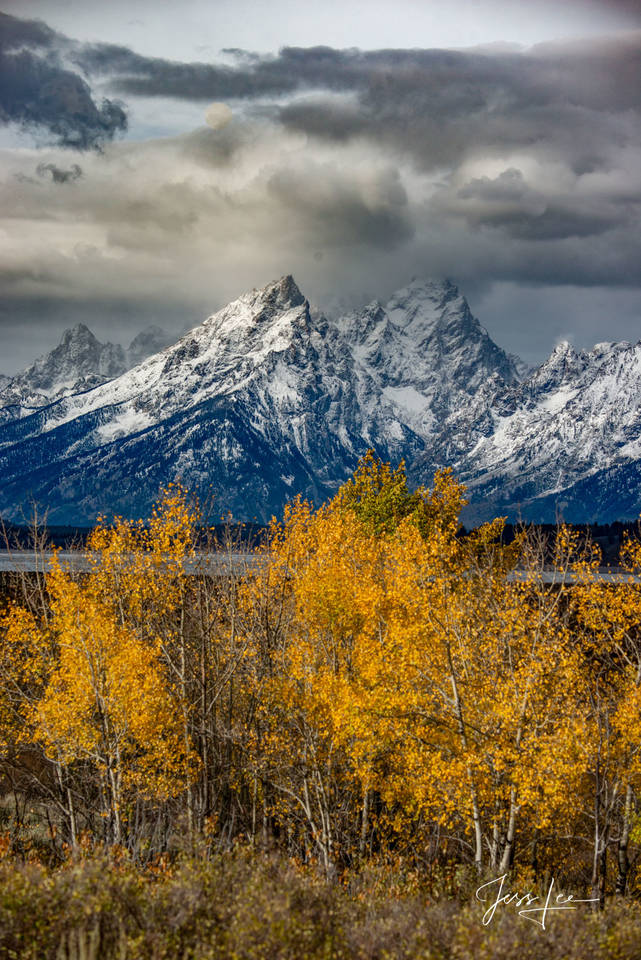 Grand Teton Photography Print of Teton Range & Aspens Fall | Large