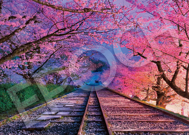EPO-05-123s 風景 桜の蹴上インクライン - 京都 500ピース ［CP-SK
