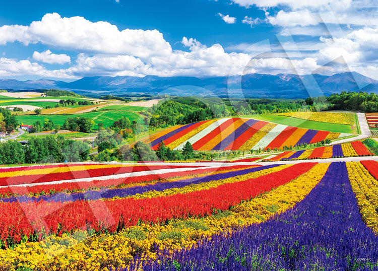 EPO-54-240 風景 虹色の四季彩の丘-北海道 2000ピース ［CP-NT