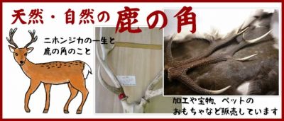 No.2135『鹿角先端&加工材20kセット』鹿の角エゾ鹿鹿角蝦夷鹿