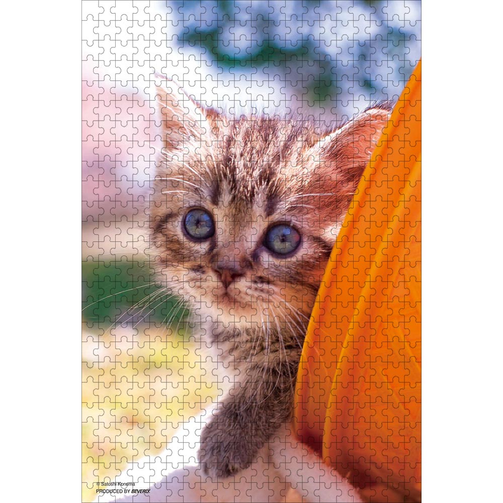 ジグソーパズル 猫 パズル 500ピース かくれんぼ 38×52cm