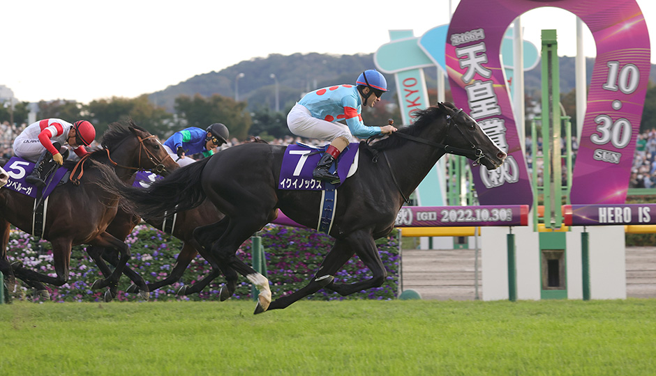 歴史・コース：天皇賞（秋） 今週の注目レース JRA
