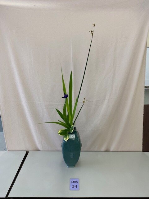 いけばな花材を守るプロジェクト | いけばな小原流