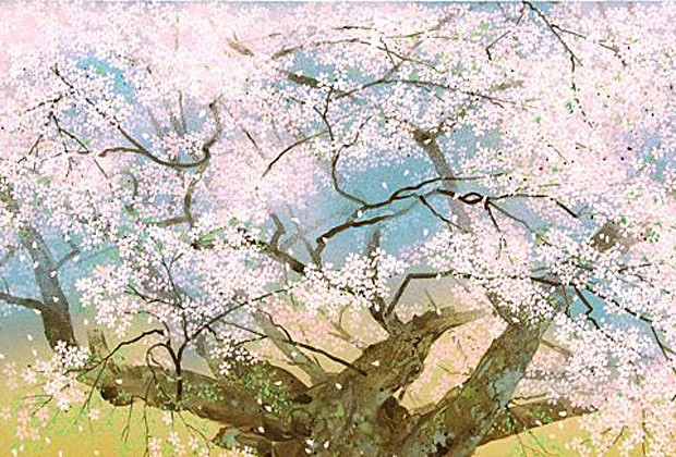 中島千波 淡墨桜 | 絵画など美術品の販売と買取 | 東京・銀座 おいだ美術