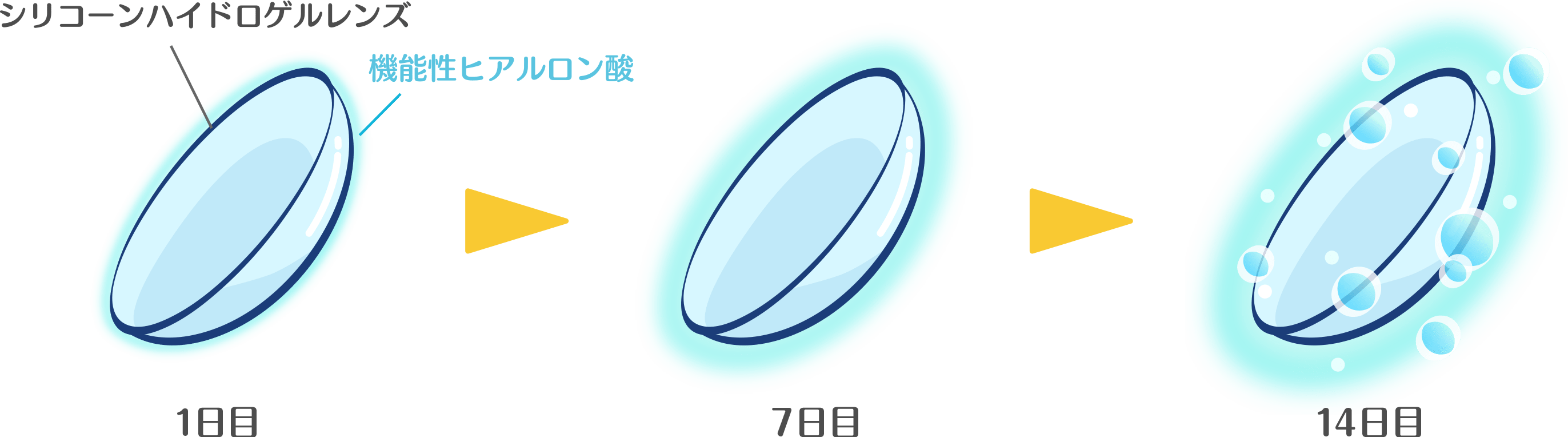 製品紹介 | cleadew（クリアデュー）