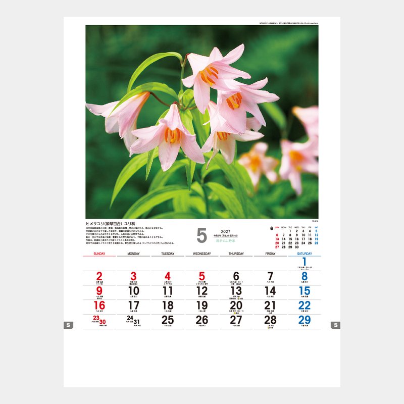 TD-818 日本の山野草2026年版の名入れカレンダーを格安で販売 - 名入れ