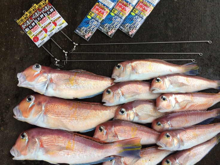 旬を迎えた浜松沖のアマダイ | 株式会社オーナーばり｜海釣り仕掛け