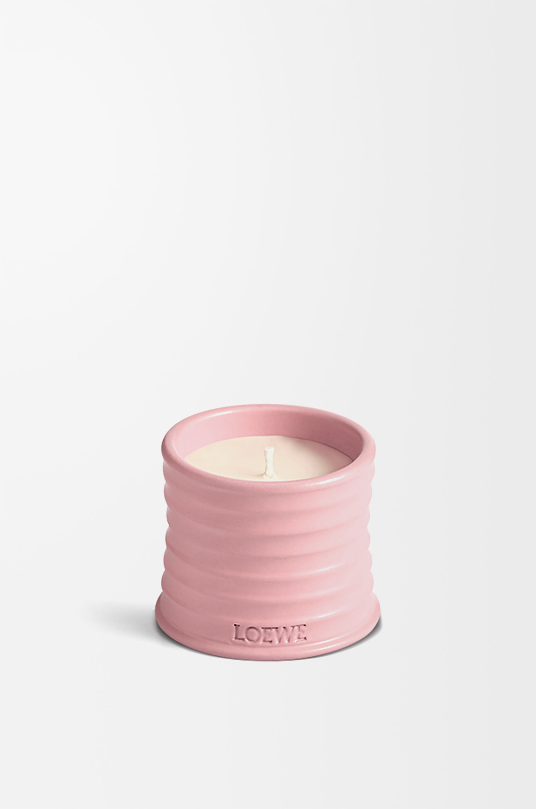 アイビー キャンドル スモール ピンク - LOEWE Japan official website