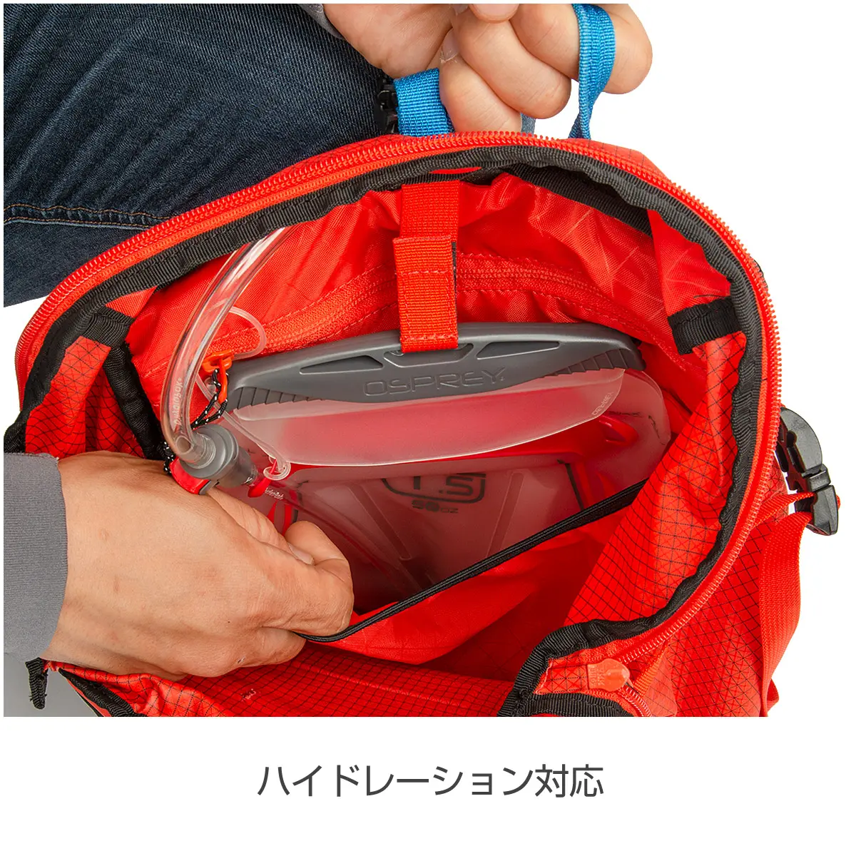 スピードジップ33(S/M オクタン): ブラックダイヤモンド | ロスト