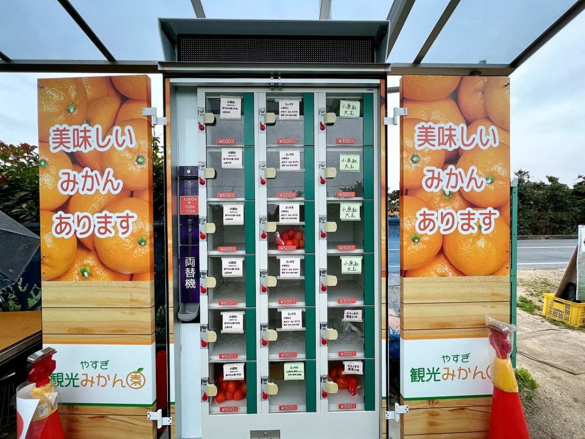 こたつ時間がはかどる！安来にみかん自販機できてた【山陰の自販機