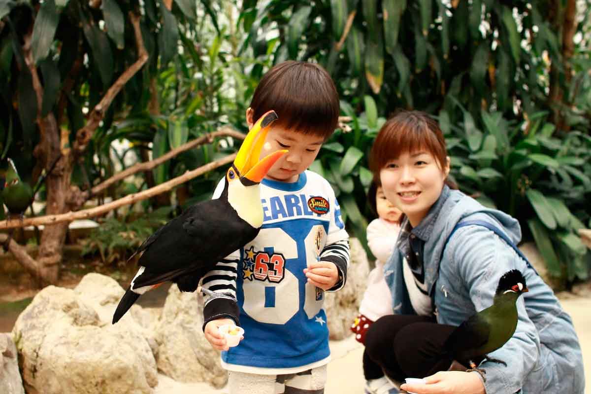 寒さも暑さも関係なし！子連れの遊び場『松江フォーゲルパーク』は