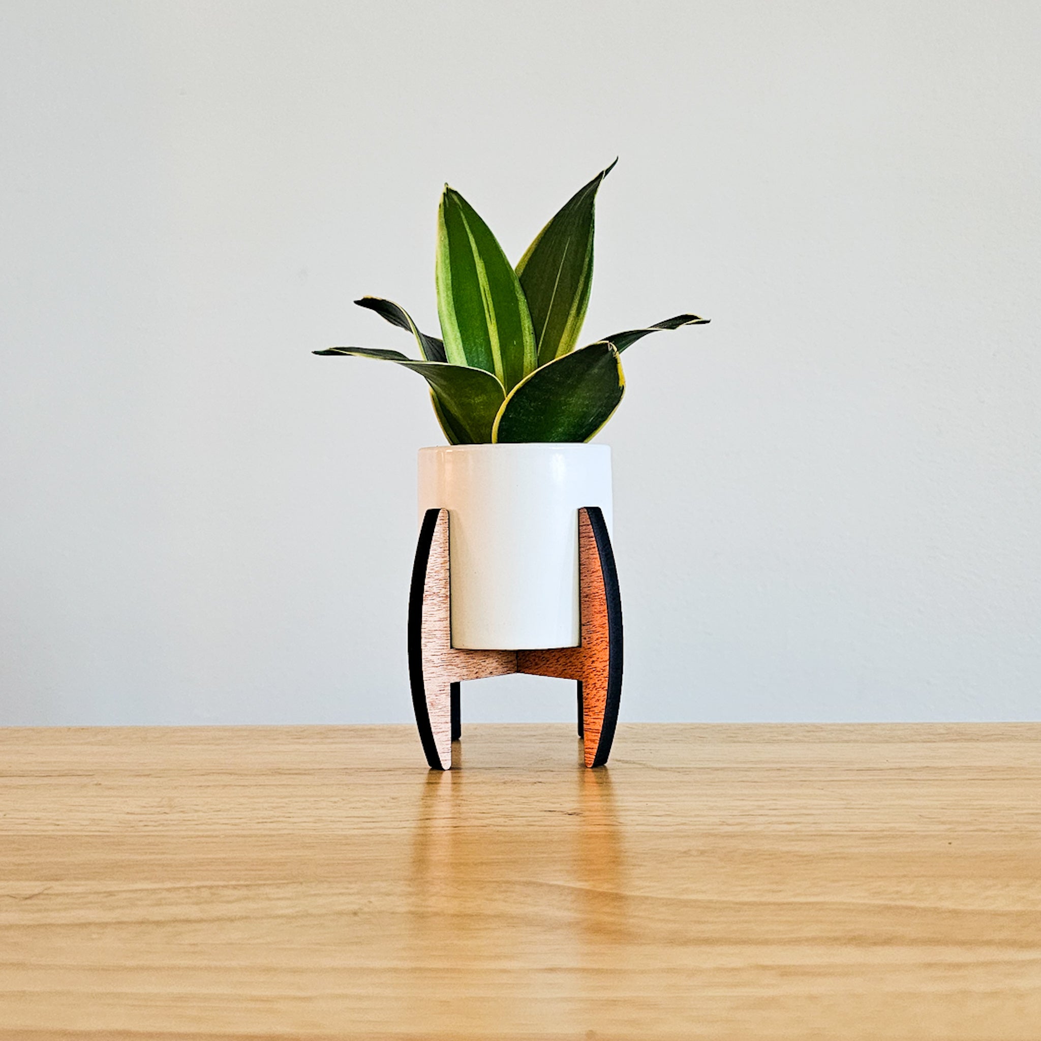 Mini 2-Inch Wood Indoor Plant Stand & Pot - Small Succulent