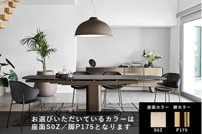 カリガリス ビューポイント ウォールミラー ／ Calligaris Viewpoints