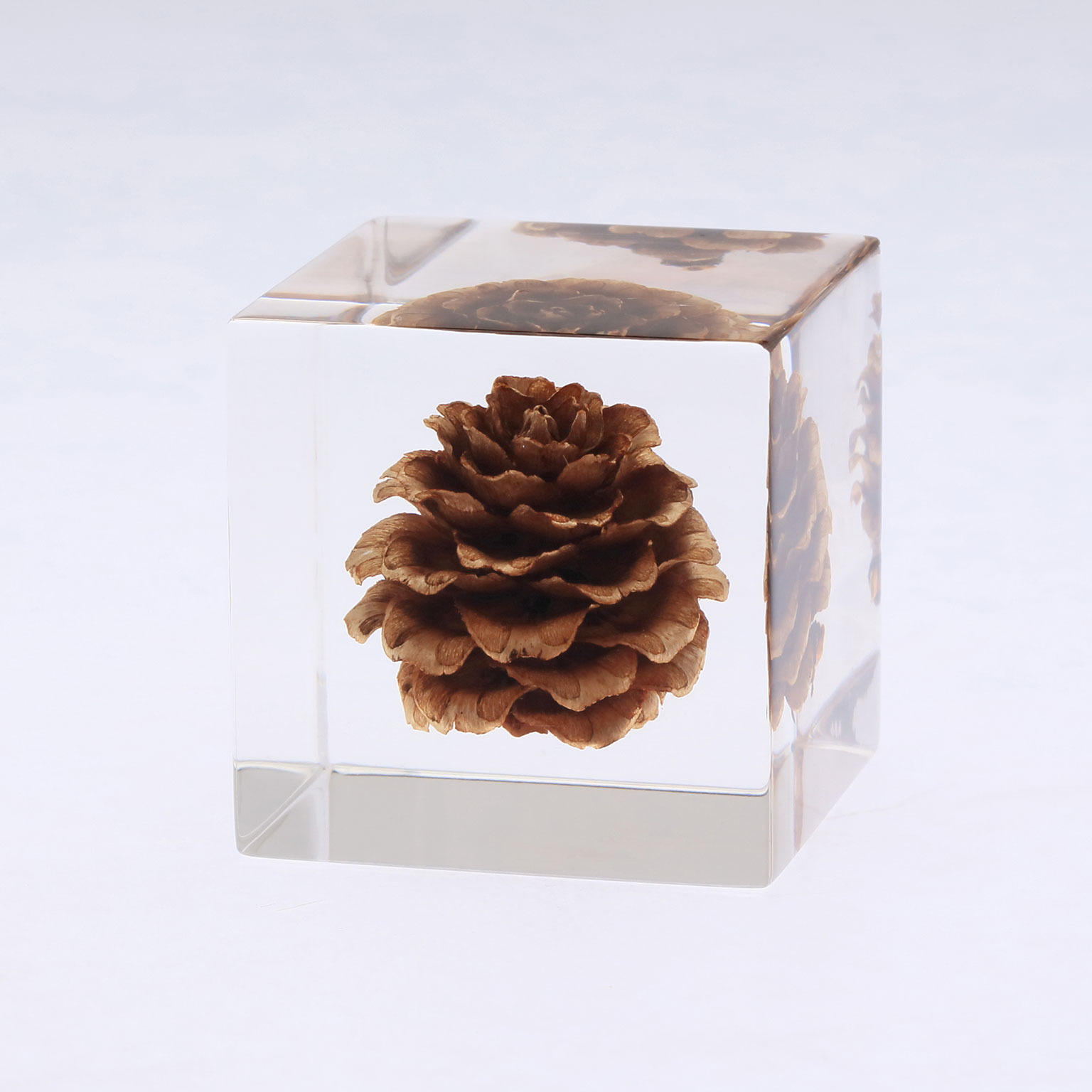 Sola cube（ソラキューブ）カラマツ | LIVING MOTIF｜家具・インテリア