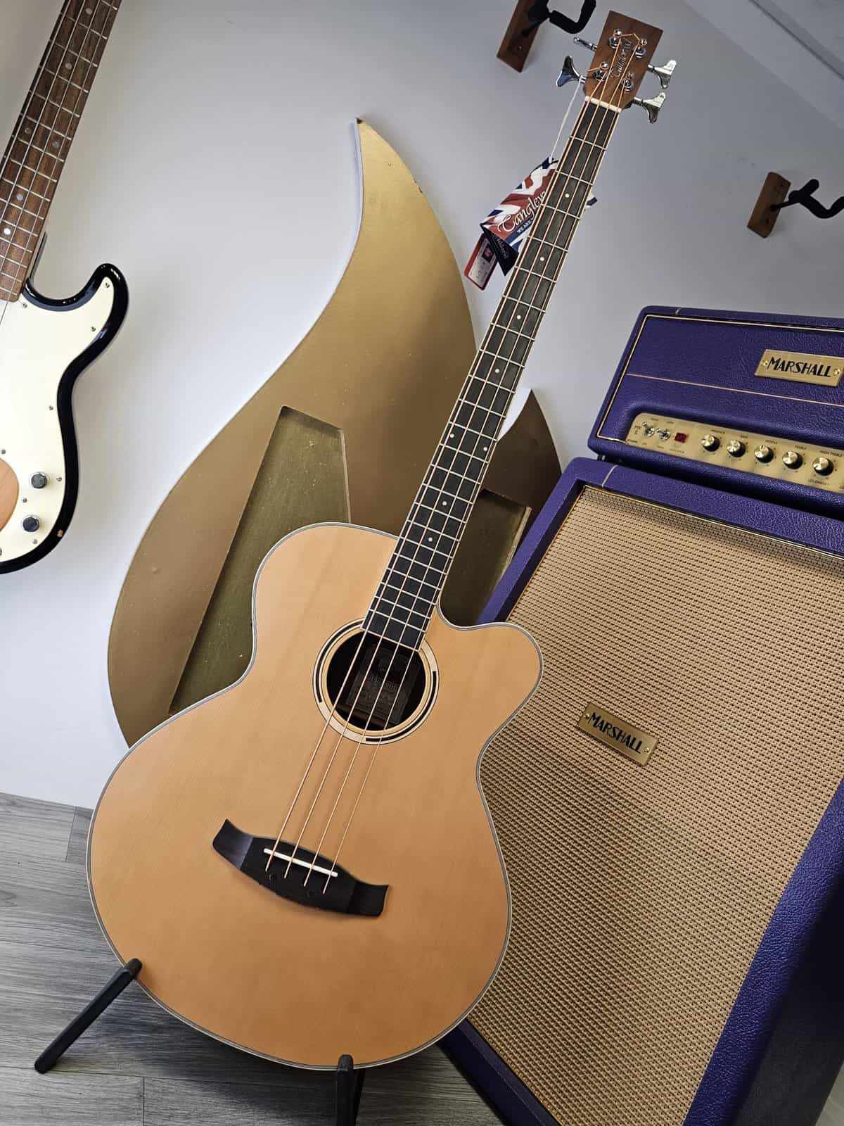 Tanglewood – Acoustic Bass – DBT-AB-BW – DISCOVERY SERIES