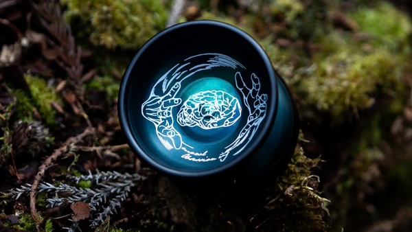 OBSESSION +（NEW COLOR）』発売 | MOWL STAN
