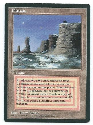 FBB Wheel of Fortune Italian | Magic the Gathering | MTG Singles Cards