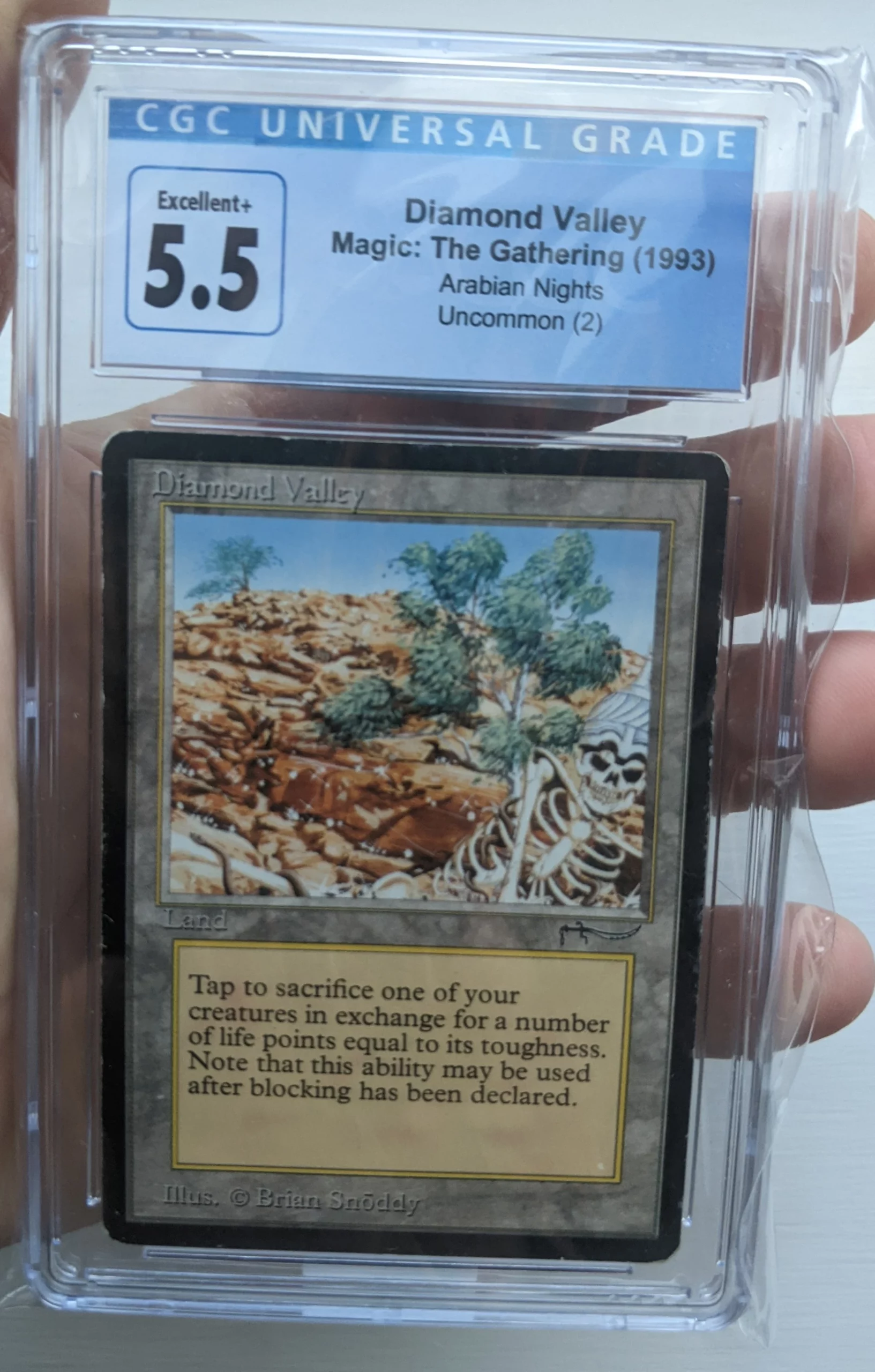 Diamond Valley Arabian Nights Magic the Gathering | MTG Trading Cards
